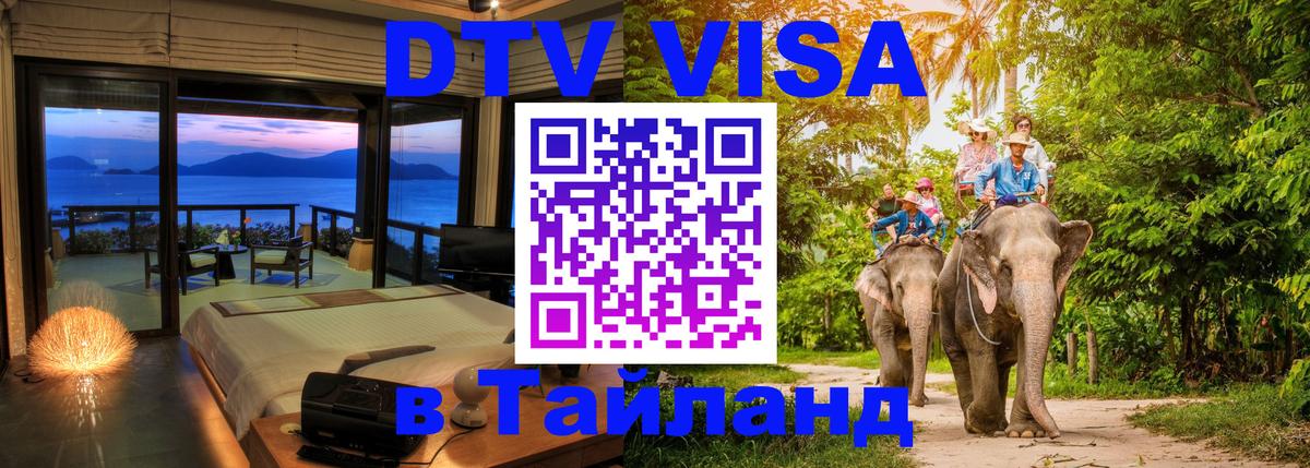 Оформление DTV визы под ключ: стоимость и тарифы, только загранпаспорт - 